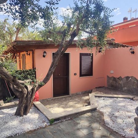 Sunrise Home Fiumicino Ngoại thất bức ảnh